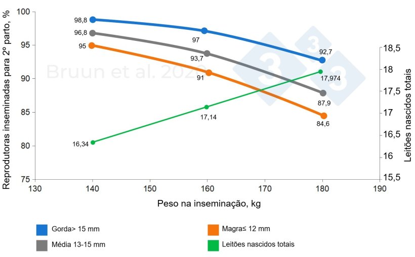 Relação entre o peso e a espessura da gordura dorsal da porca na primeira cobrição e a sua vida produtiva e longevidade.. Bruun et al. (2020): Relatório de ensaio n.º 1206, SEGES Innovation